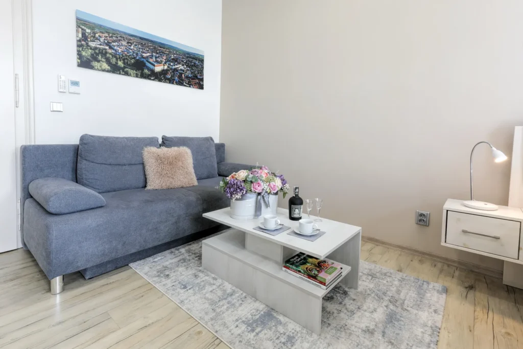 Ap_Velké_náměstí_apartmán1_4
